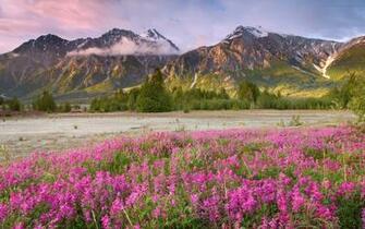 Beautiful Landscapes Of The World Wallpaper Ing Gallery