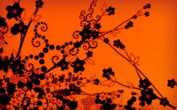 Orange Wallpaper For Your Desktop