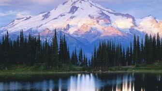 Wilderness Washington Cool Background And Wallpaper For Your
