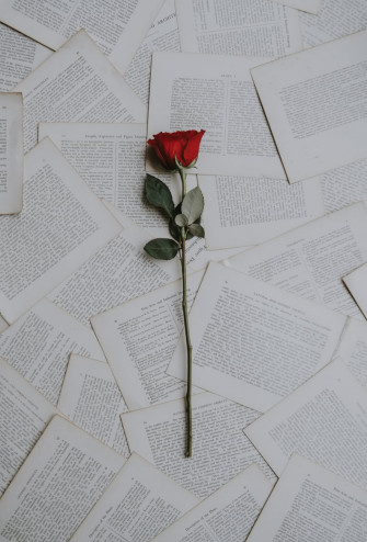 Valentine S Day Wallpaper For Your Home Screen Aesthetic