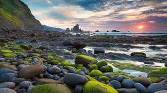Ocean Moss Landscape Wallpaper