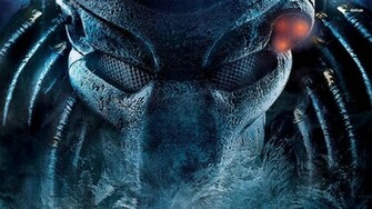 Predator Wallpaper