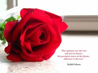 Inspirational Desktop Wallpaper Red Rose