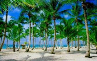 Dominican Republic Wallpaper