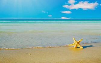 Beautiful Beach