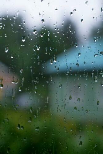 Rainy