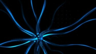 Octopus Wallpaper