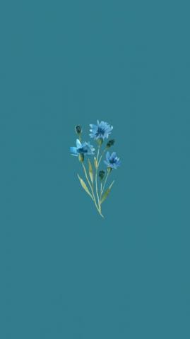 Wildflower Wallpaper Simple Phone Flower iPhone