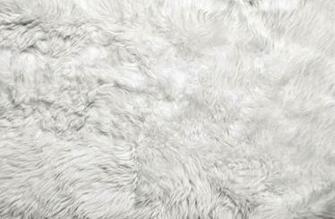 White Fur Background Stock Photo Thinkstock