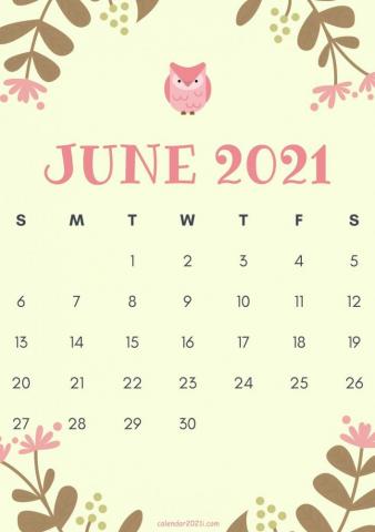 Cute June Calendar Design Theme Layout