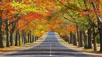 Autumn Memorial Wallpaper Australia Mount