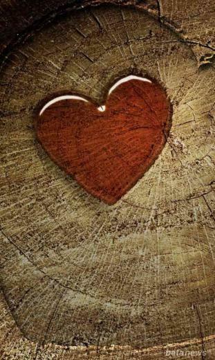 Whatsapp Wallpaper Love Image