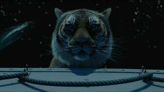 Life Of Pi Wallpaper Top Background