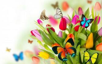 UHD Wallpaper Ultra High Definition 4k