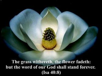 The Word Of God Wallpaper Christian And Background