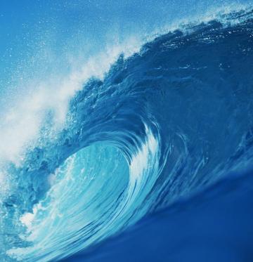 Honor 8x Max Stock Wallpaper Droids