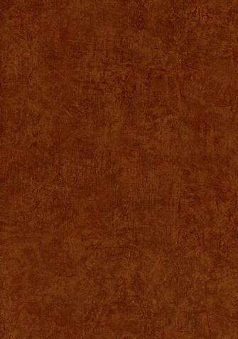 Burnt Orange Faux Wallpaper Enc4071 Border