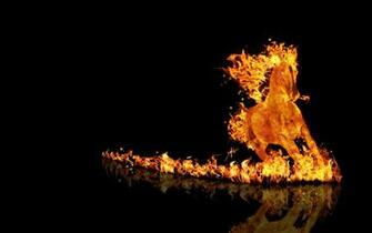 Wallpaper Fire Horse Is A Great For Your Computer Desktop