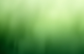 Green Color Background Wallpaper