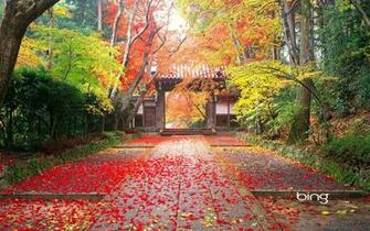 Japan Scenery Wallpaper