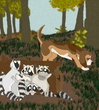 Coon Hunting By Jojoteddy4