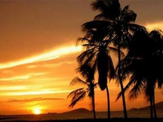 Tropical Screensaver Screensavers