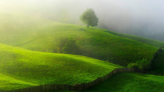 Green Hill Wallpaper