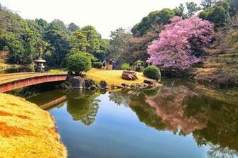 Shinjuku Gyoen Garden HD Wallpaper Background Image