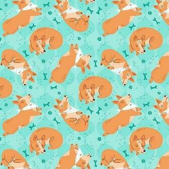 Another Cute Corgi Wallpaper Corgis