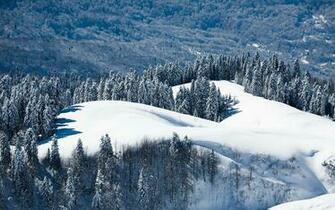 Looks Like A Great Place To Go Skiing