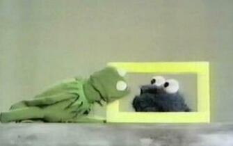 Cookie Monster Kermit The Frog HD Wallpaper Wild Animal Reptiles