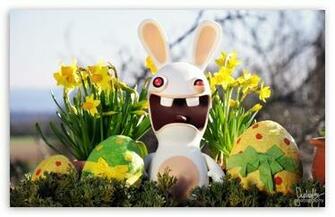 Funny Easter Bunny HD Wallpaper For Wide Widescreen Whxga