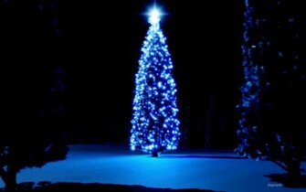 Christmas Tree HD Wallpaper Background Photos