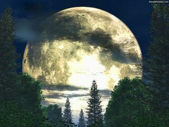 Paradox 3d Wallpaper Forest Moon Multiple Sizes