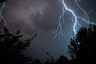 Wallpaper Sky Lightning Tree Lighting Forest