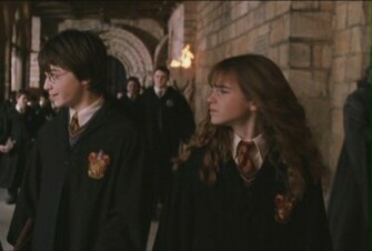 Harmony Chamber Of Secrets Harry And Hermione Image