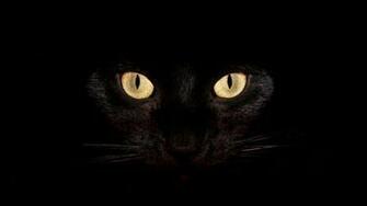 Black Cat Wallpaper For Halloween Cats In Scary