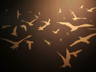 Bird Silhouette Wallpaper