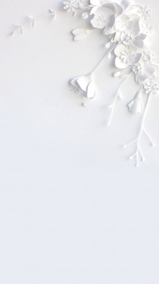White Flower iPhone Wallpaper