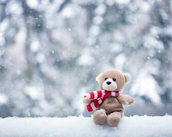 Full Size Cute Teddy Bears HD Wallpaper