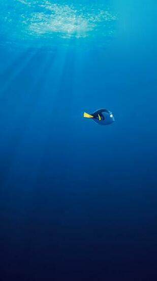 Finding Dory Disney Pixar Animation iPhone HD Wallpaper