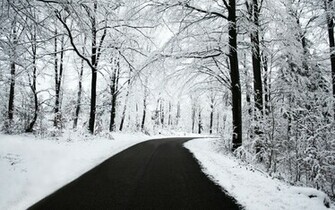 Winter Wallpaper