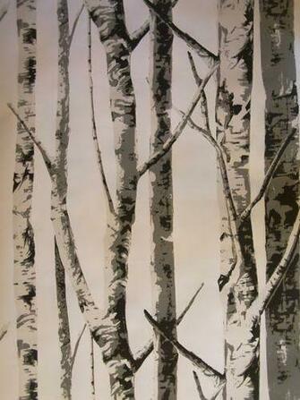 Birch Trees Modern Wallpaper By The Metre