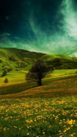 Nature Best iPhone Wallpaper iPhone5 Gallery