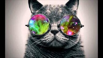 Cat With Glasses Wallpaper