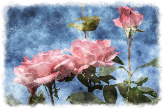 Rose Aesthetic Wallpaper