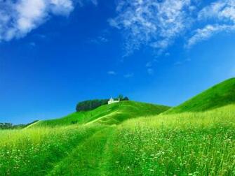 Beautiful Seasonal Photos Fall Winter Spring Summer