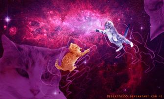 Loosey Goosey Trippy And Space