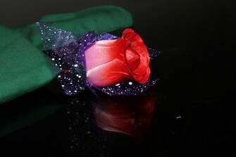 Single Red Rose Stock Photo HD Public Domain Pictures