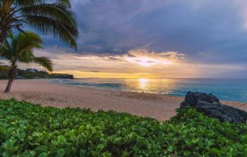 Wallpaper Sand Beach Sunset Palm Trees The Ocean France